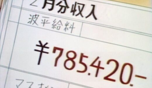 波平は年収1,256万6720円（勤務先：山川商事株式会社）