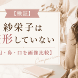 【検証】紗栄子は整形していない【目・鼻・口を画像比較】