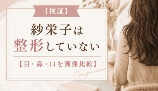 【検証】紗栄子は整形していない【目・鼻・口を画像比較】