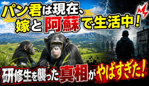 パン君は現在、嫁と阿蘇で生活中！研修生を襲った真相がやばすぎた！