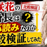 杉咲花の身長はサバ読みなのか比較検証してみた